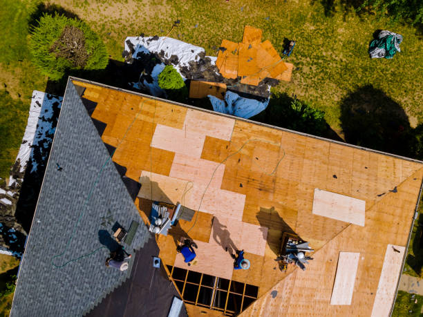 Best New Roof Installation  in Mion, AR