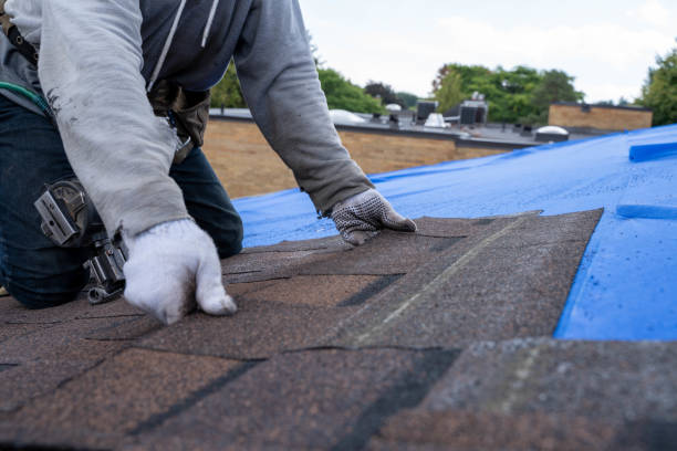 Best Residential Roofing Contractor  in Mion, AR