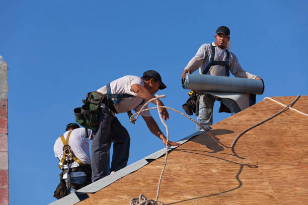 Best New Roof Installation  in Mion, AR