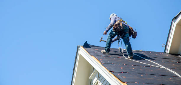Best Roof Gutter Cleaning  in Mion, AR